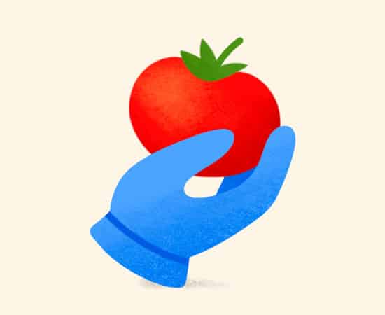 Illustration of hand holding a tomato