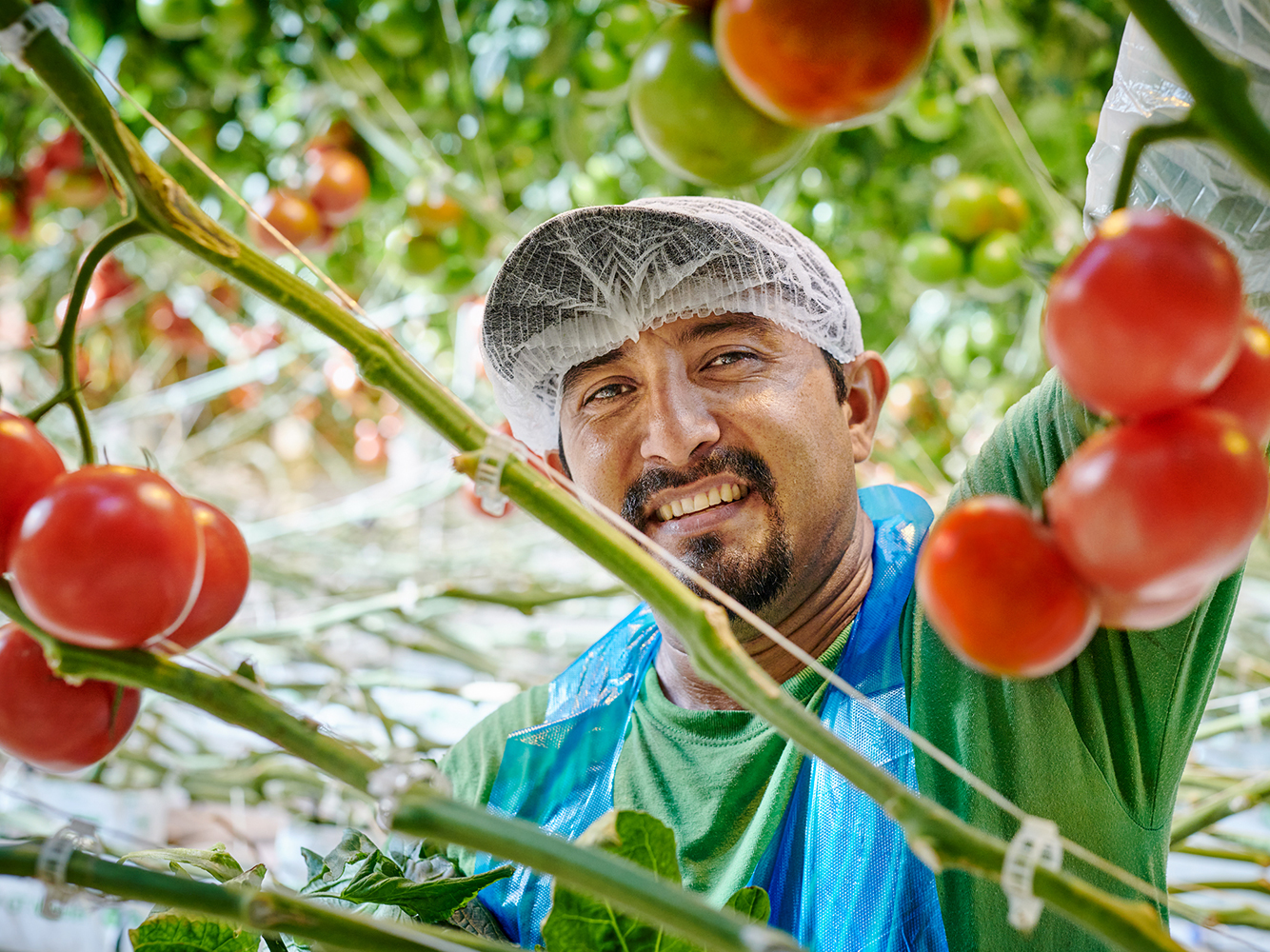 worker with tomatoes