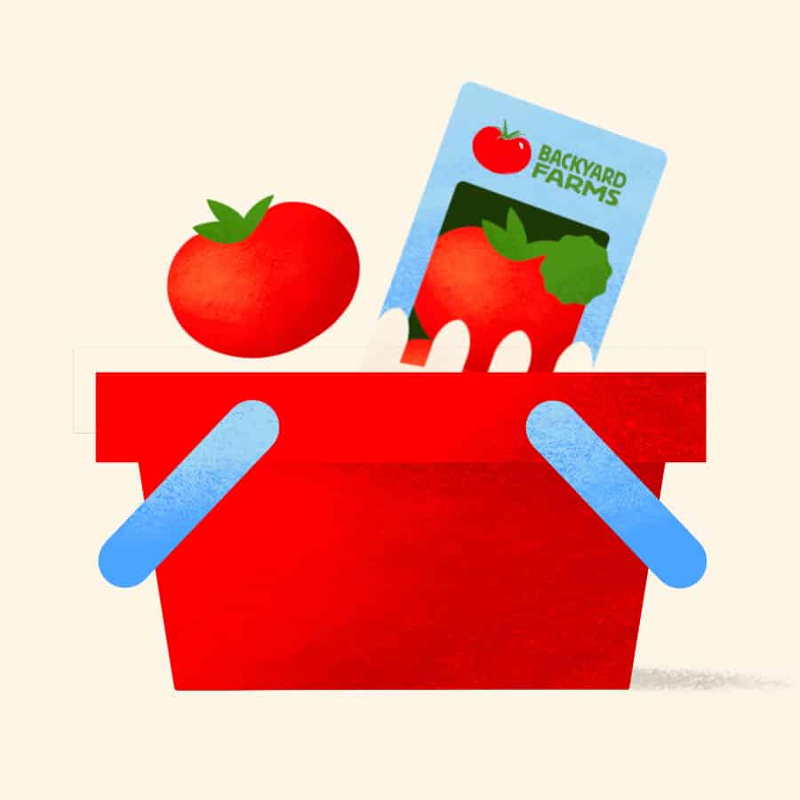 Illustration of basket with tomato