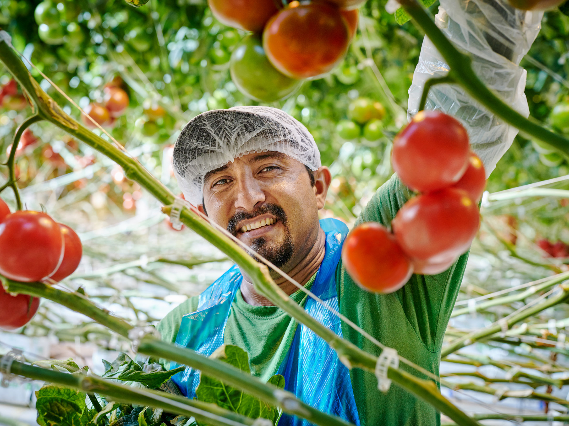 worker with tomatoes